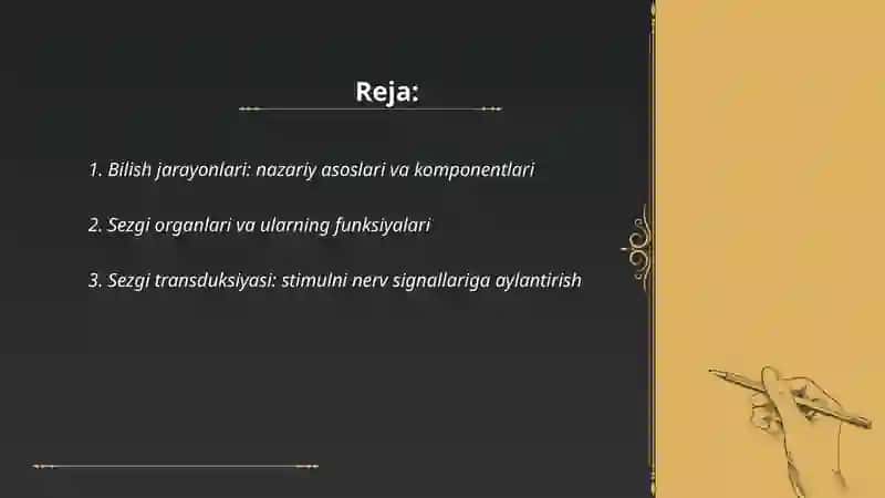 Bilish jarayonlari. Sezgi Idrok Diqqat 2