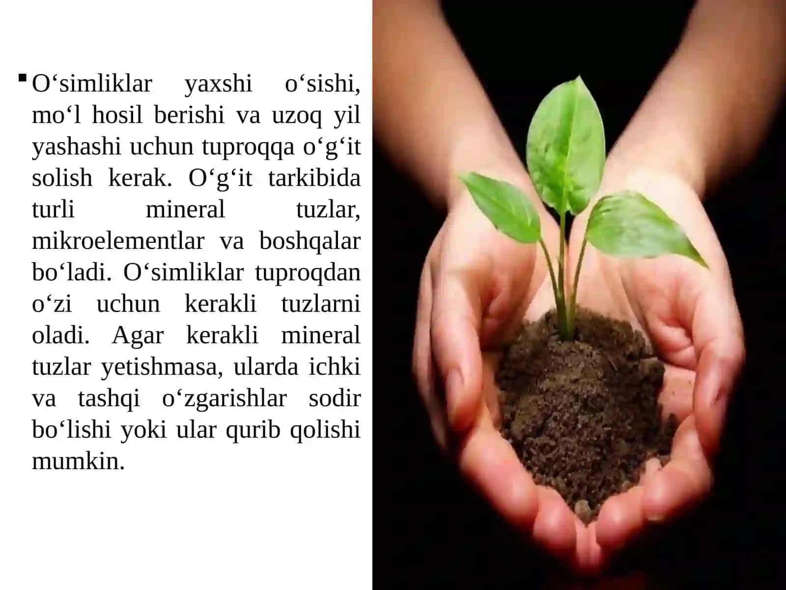 O’G’ITLAR 2