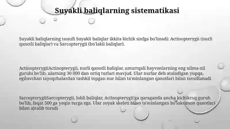 Suyakli Baliqlarning Sitematikasi Haqida Ma'Lumotlar 2