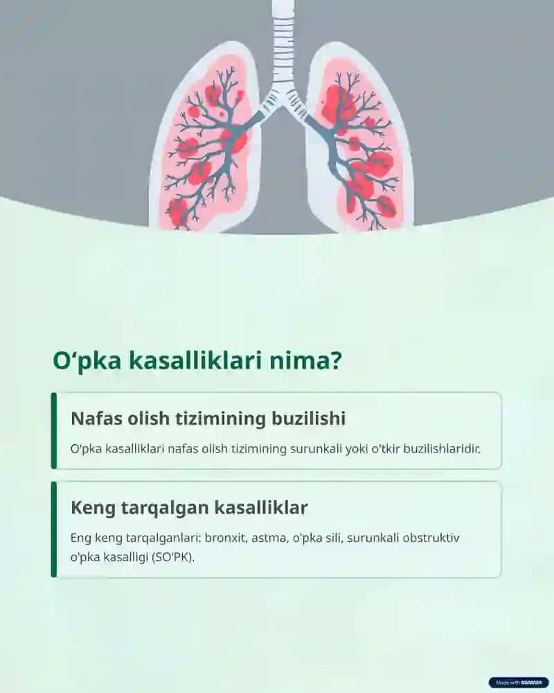 Oʻpka kasalliklari 2