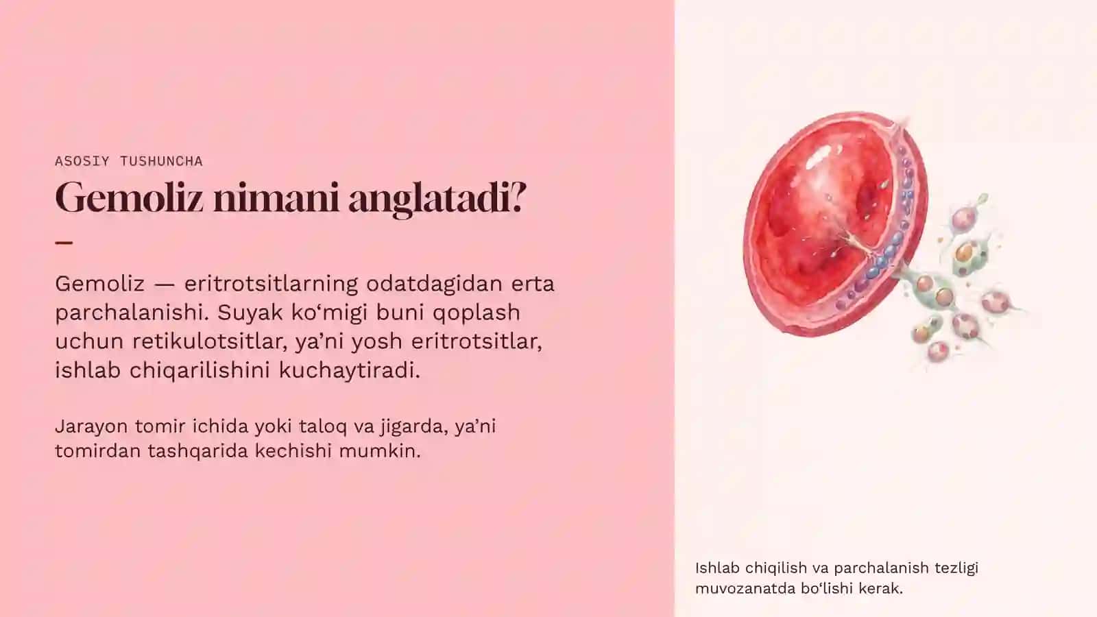 Gemolitik anemiyalar 2
