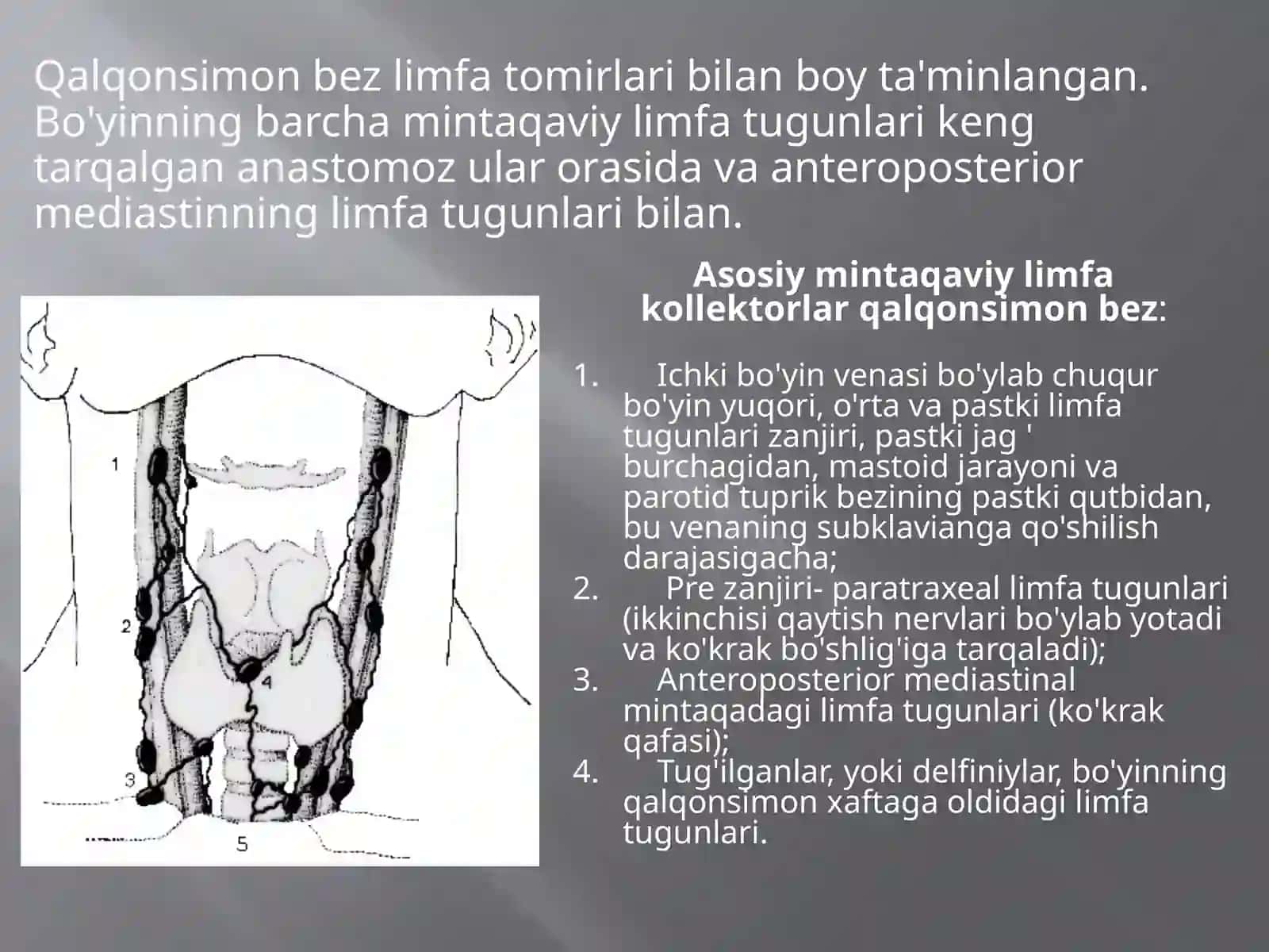 Tireoid garmonlar sintezi va biologik tasiri 2