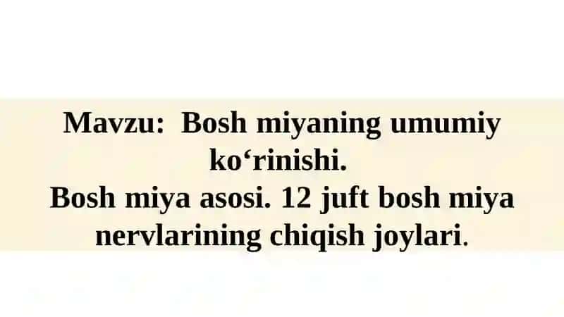 Bosh miyaning umumiy koʻrinishi 2