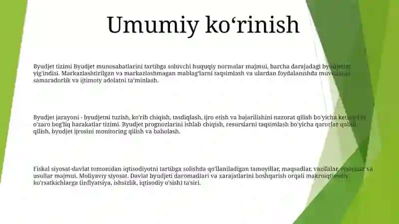 Byudjet tizimi 2