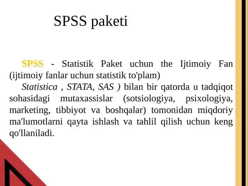 SPSS paketi 2