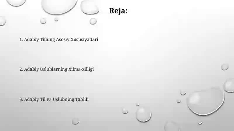 Adabiy til va uslubiyat 2