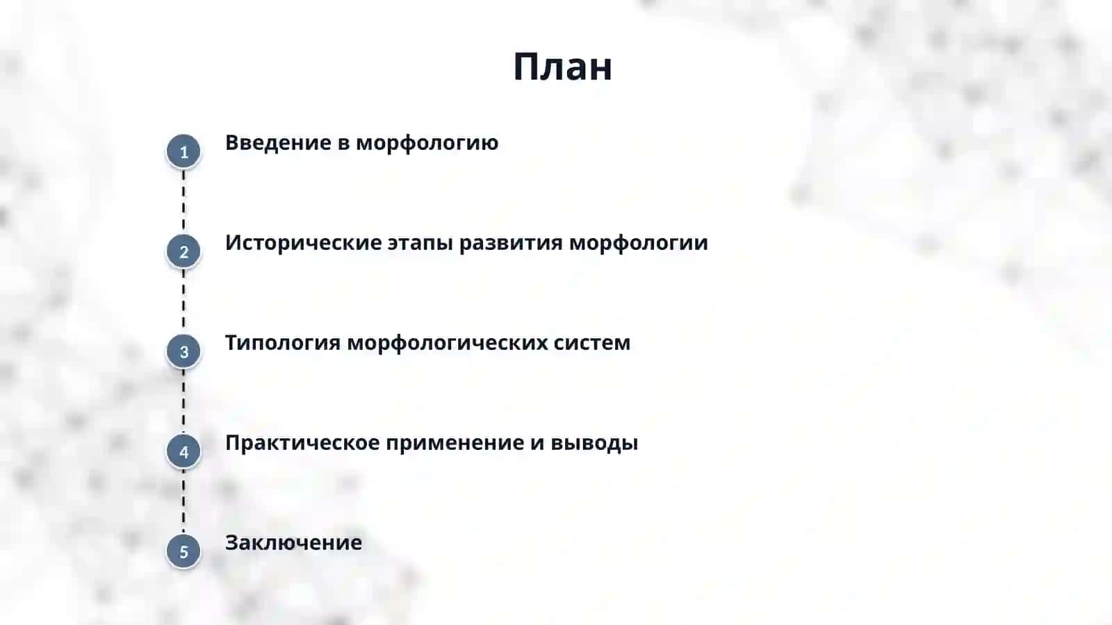 Морфология 2