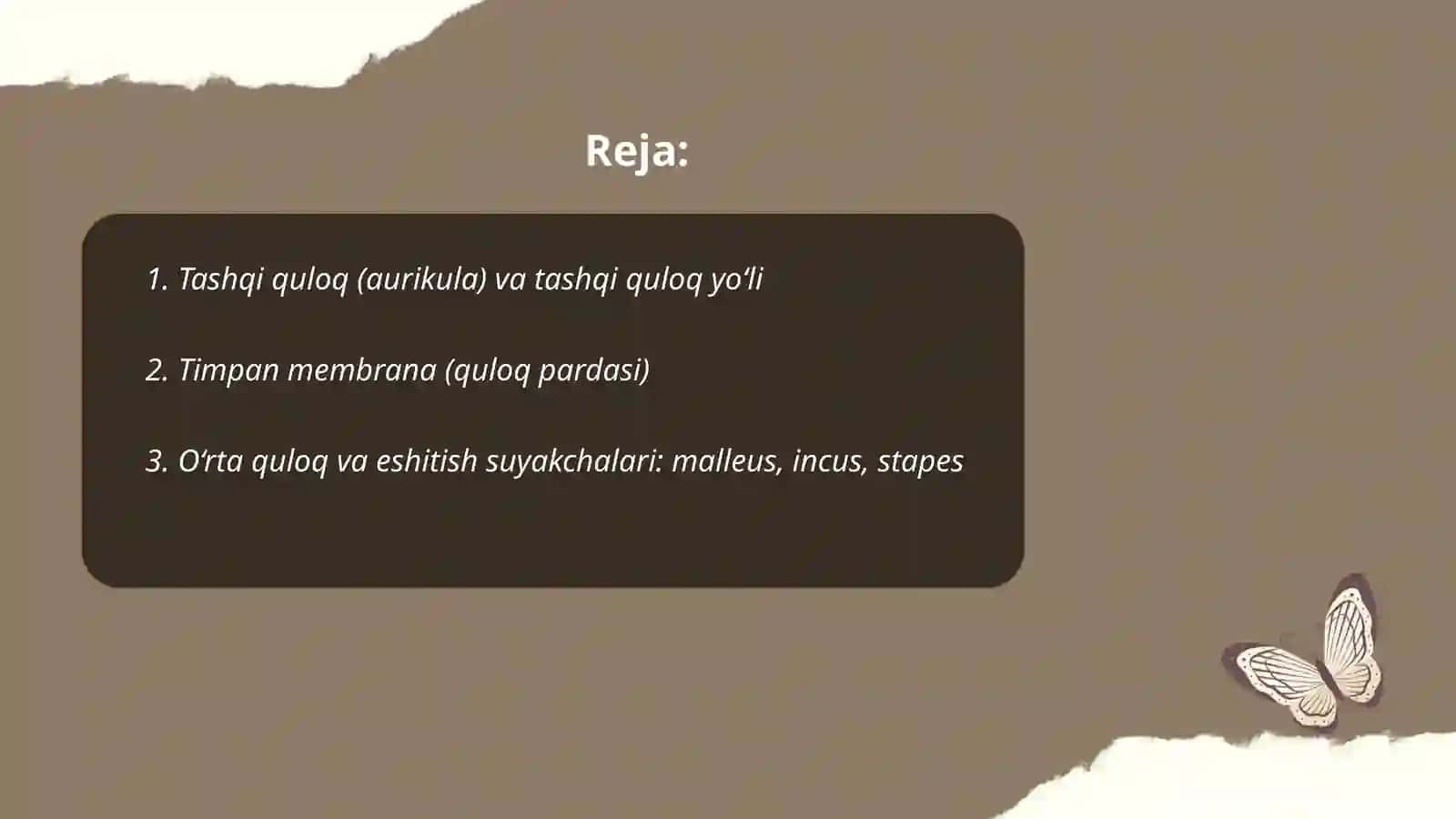 Nutq analizatorining periferik qismi 2