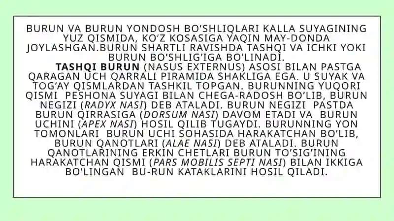 Burun va Burunyondoshbo’shliqlik 2