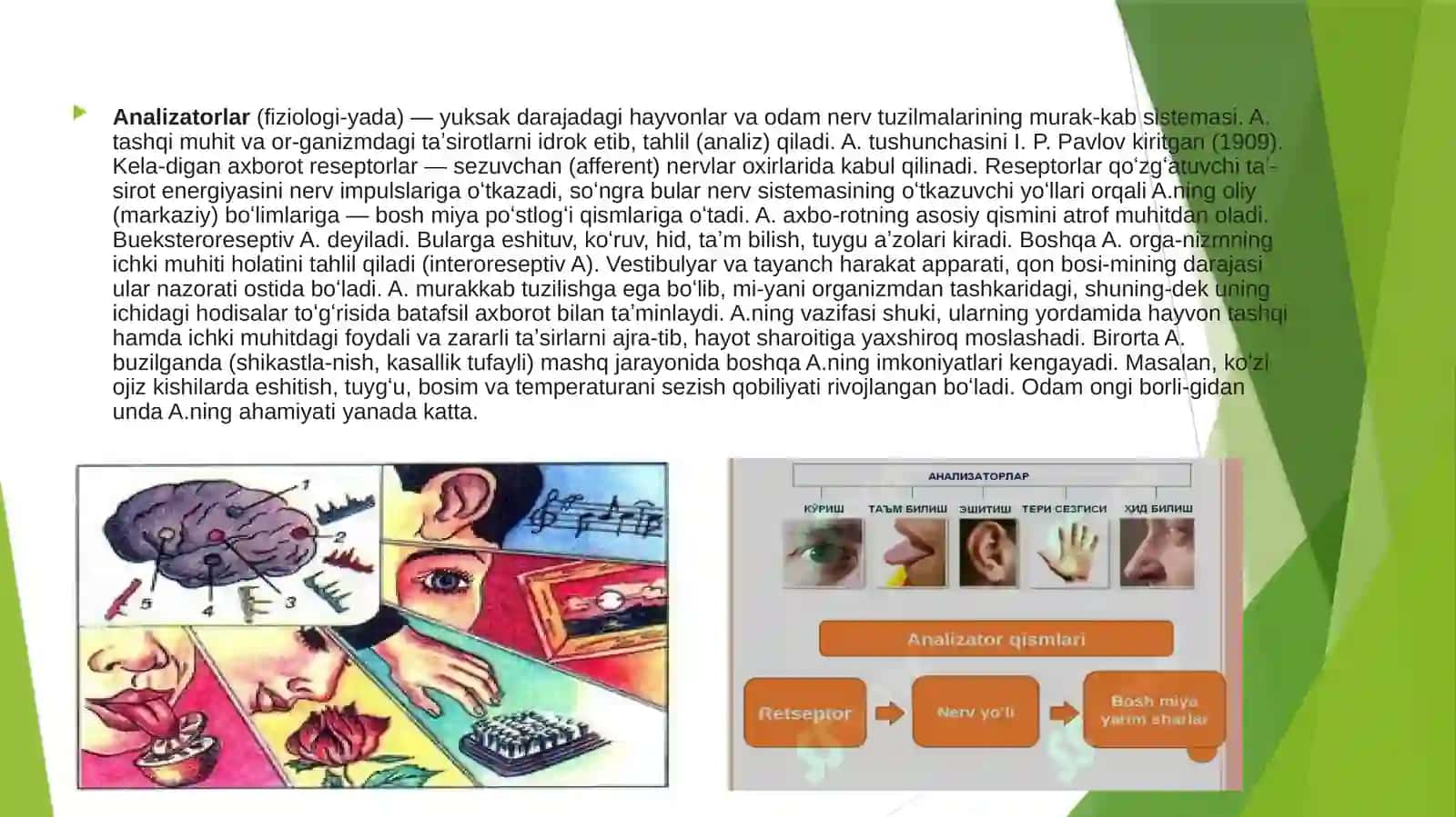 Analizatorning yosh xususyatlariva gigienasi 2