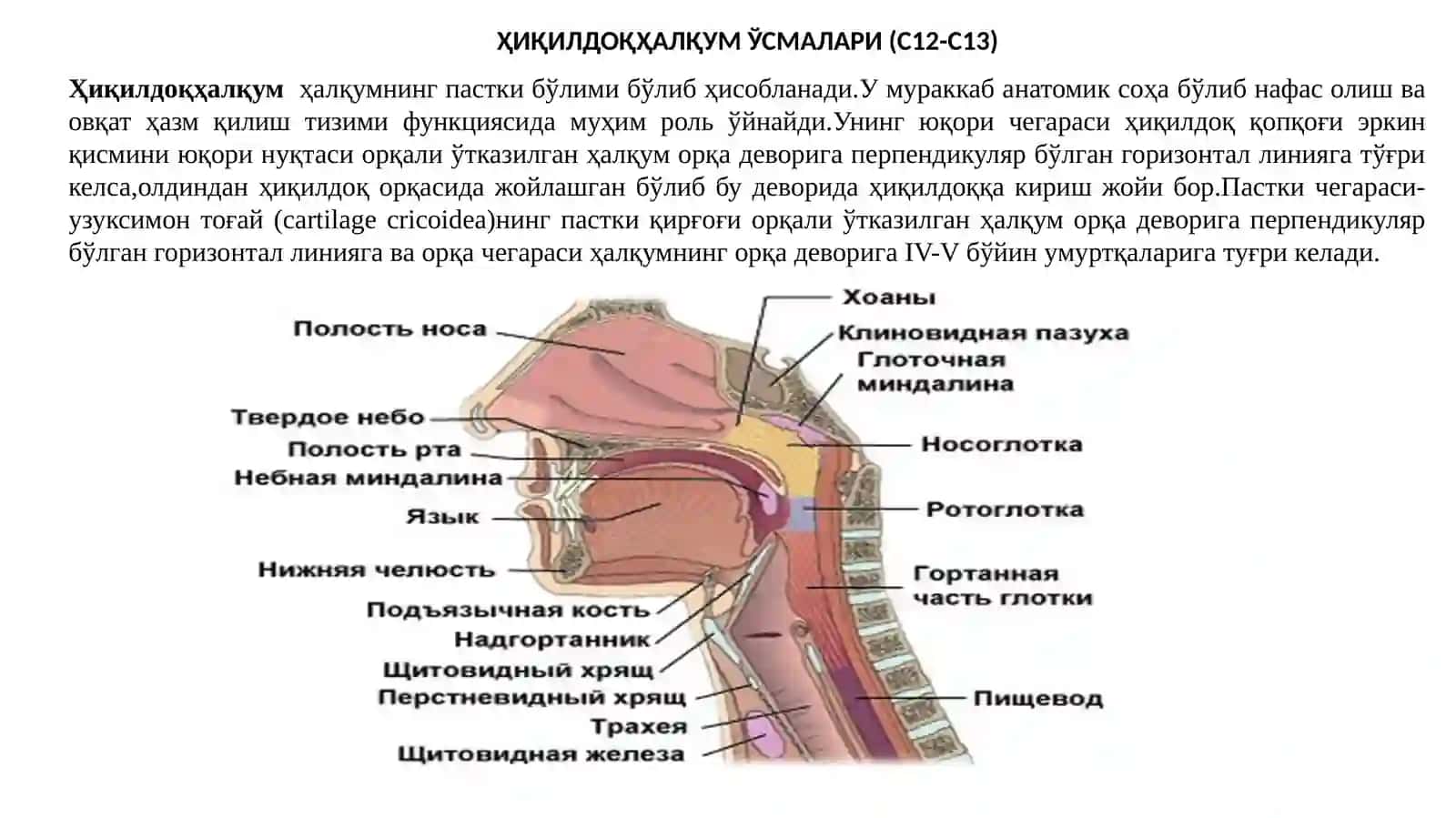 ҲИҚИЛДОҚ ҲАЛҚУМРАКИ 2