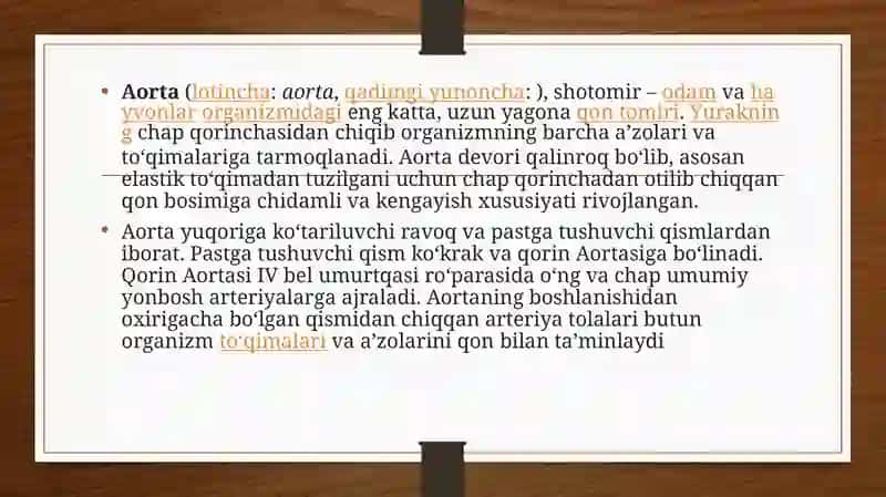 Aortavaaortaanevrizmasi 2