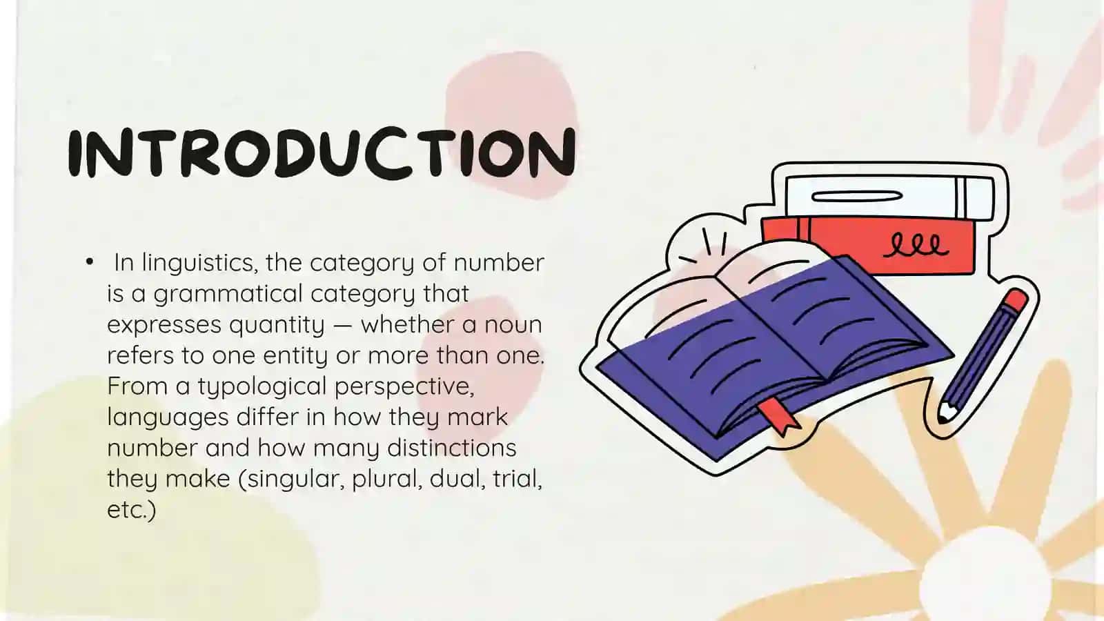 Typological category of number of nouns 2