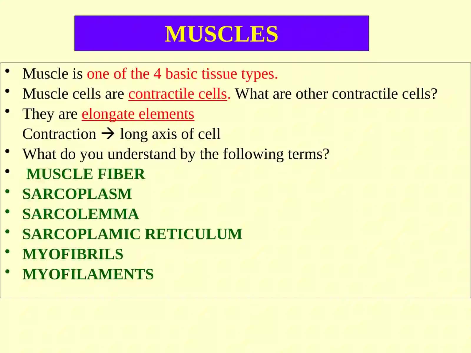 Muscular Tissue 2