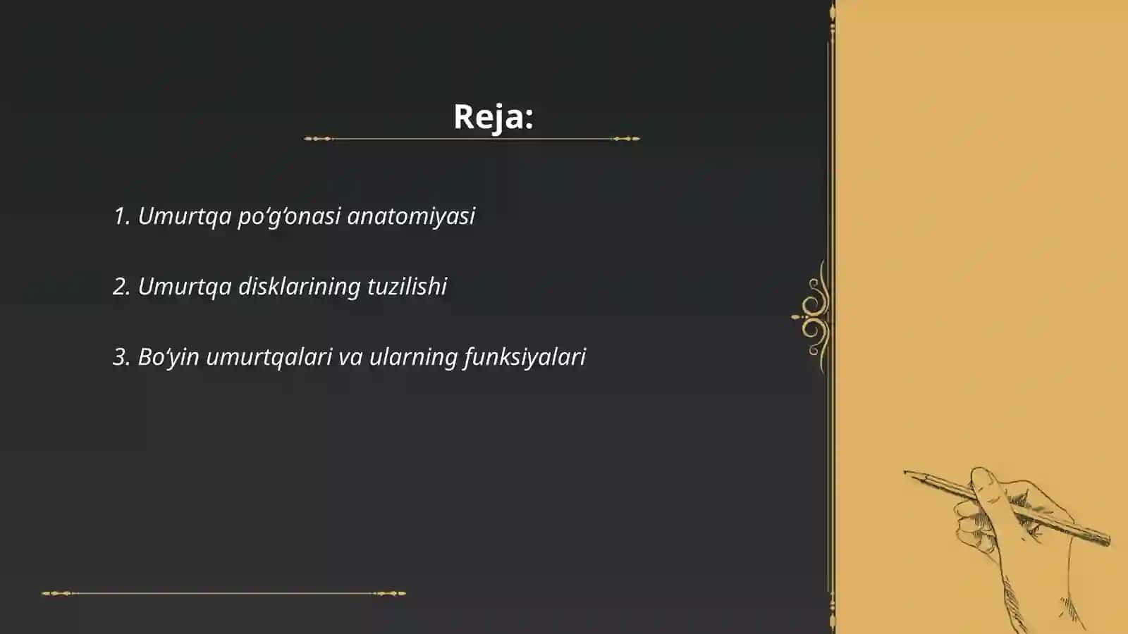 Umurtqa po‘g‘onasi, bo‘limlari va kasalliklari 2