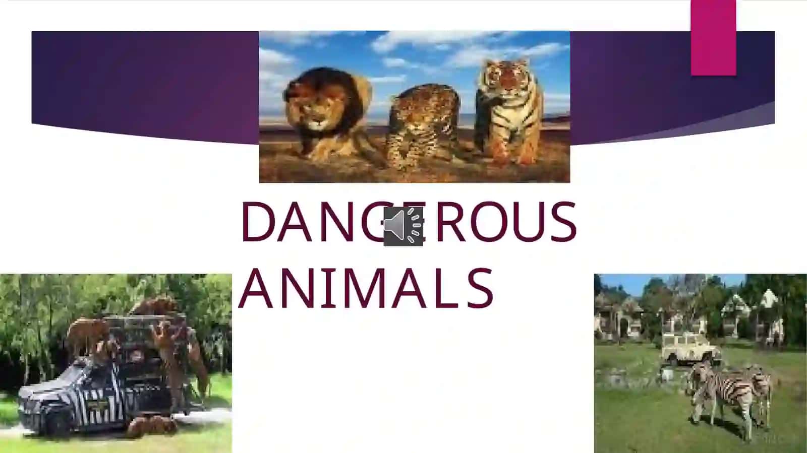 Dangerous Animals 2