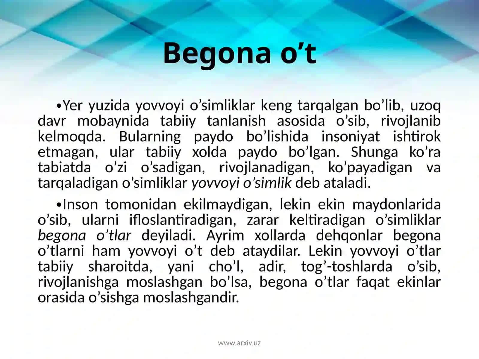 Begona o’t 2