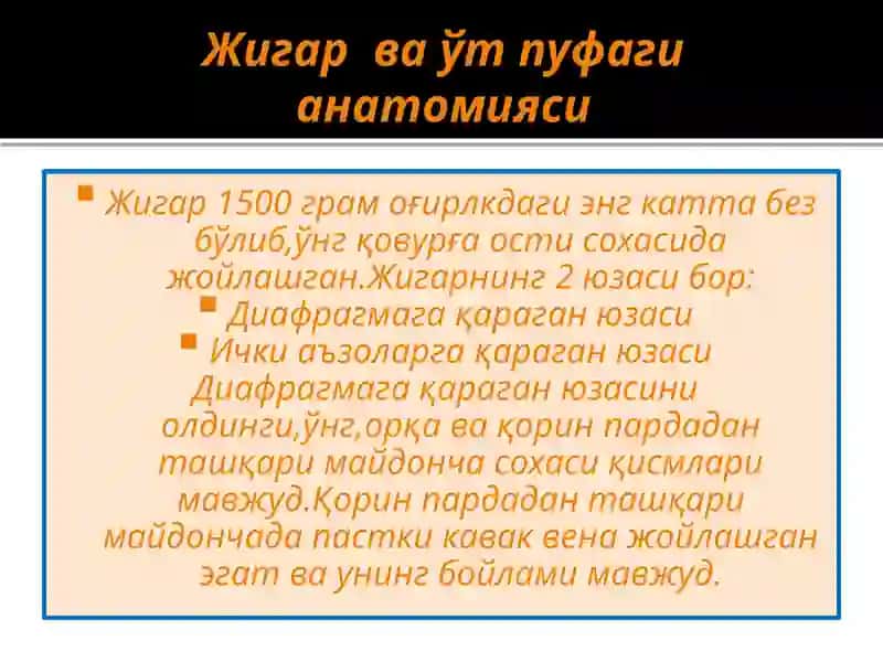 ЖИГАР ВА ТАЛОҚ АНАТОМИЯСИ 2