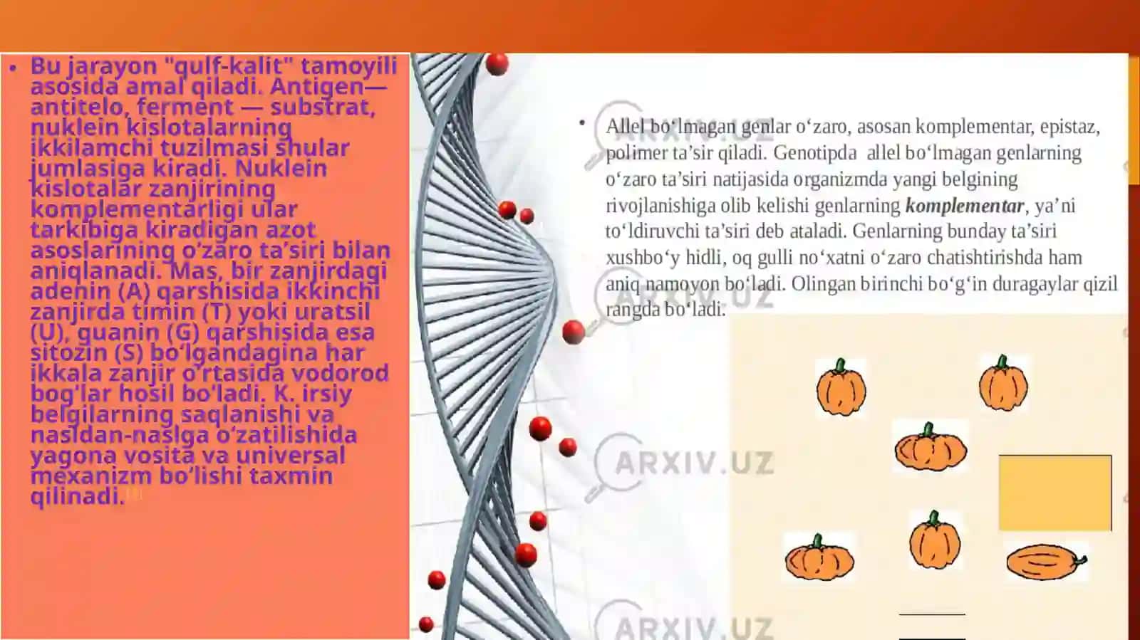 Komplementarlik va epistaz ta'sir qonuniyatlarining seleksiyada ishlatilishi 2