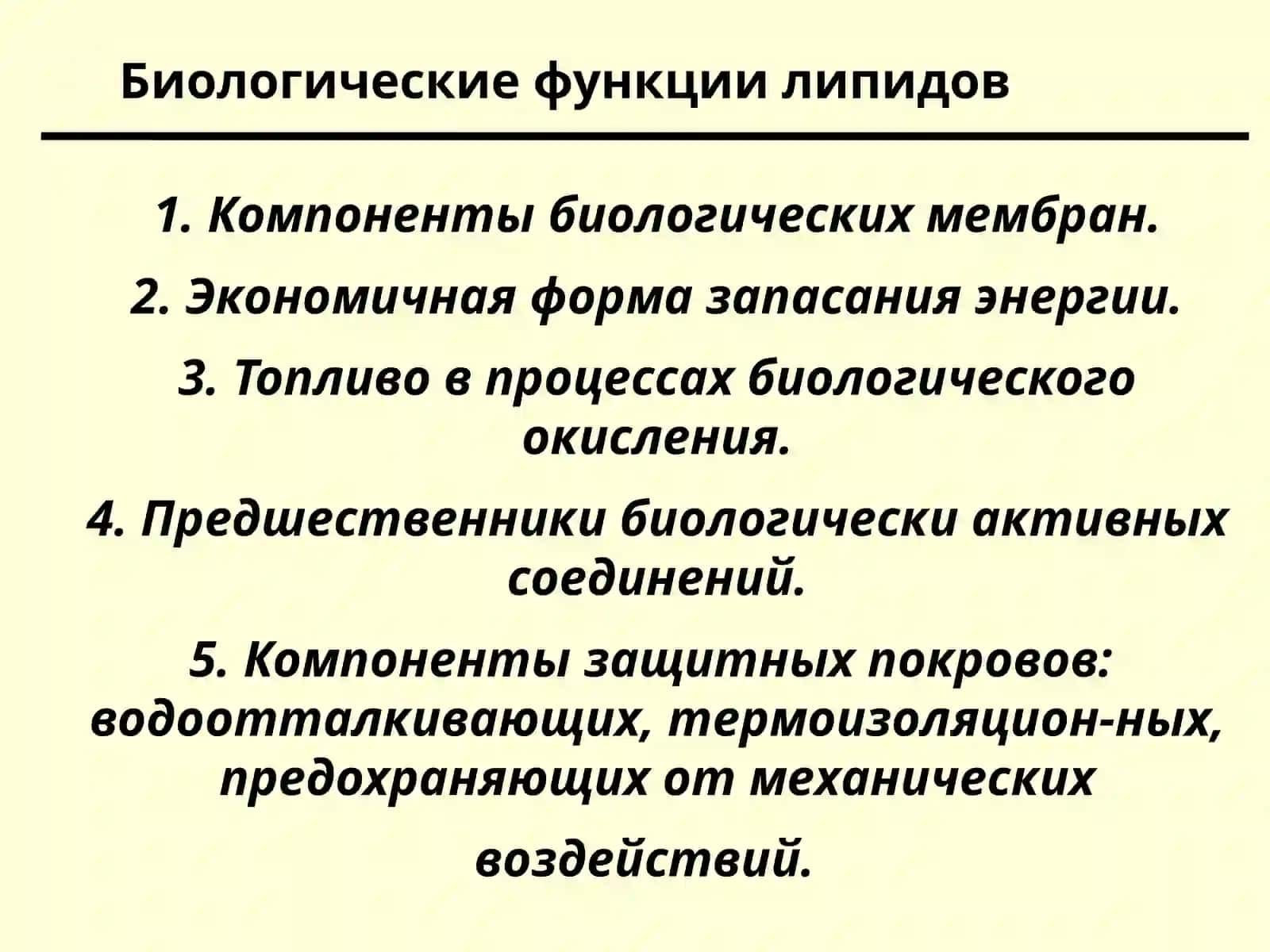 Строение и свойства липидов 2