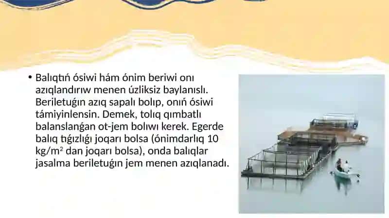 Suw saqlaǵısh balıqshılıǵı monokultura texnologiyası 2
