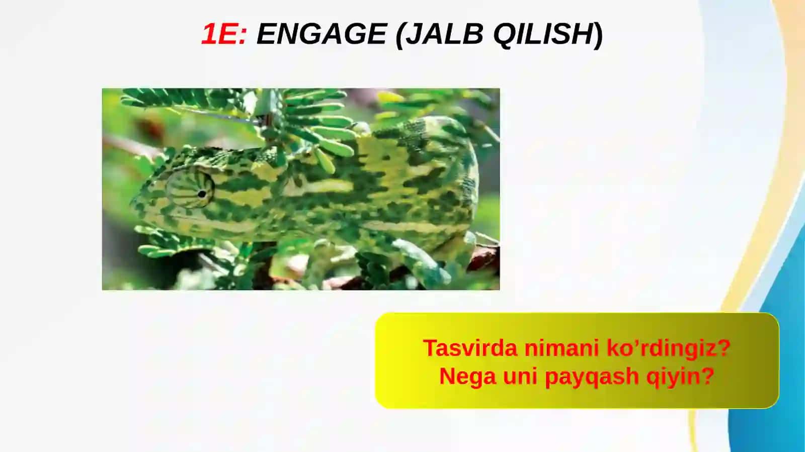 Ne’matova Bahor 2