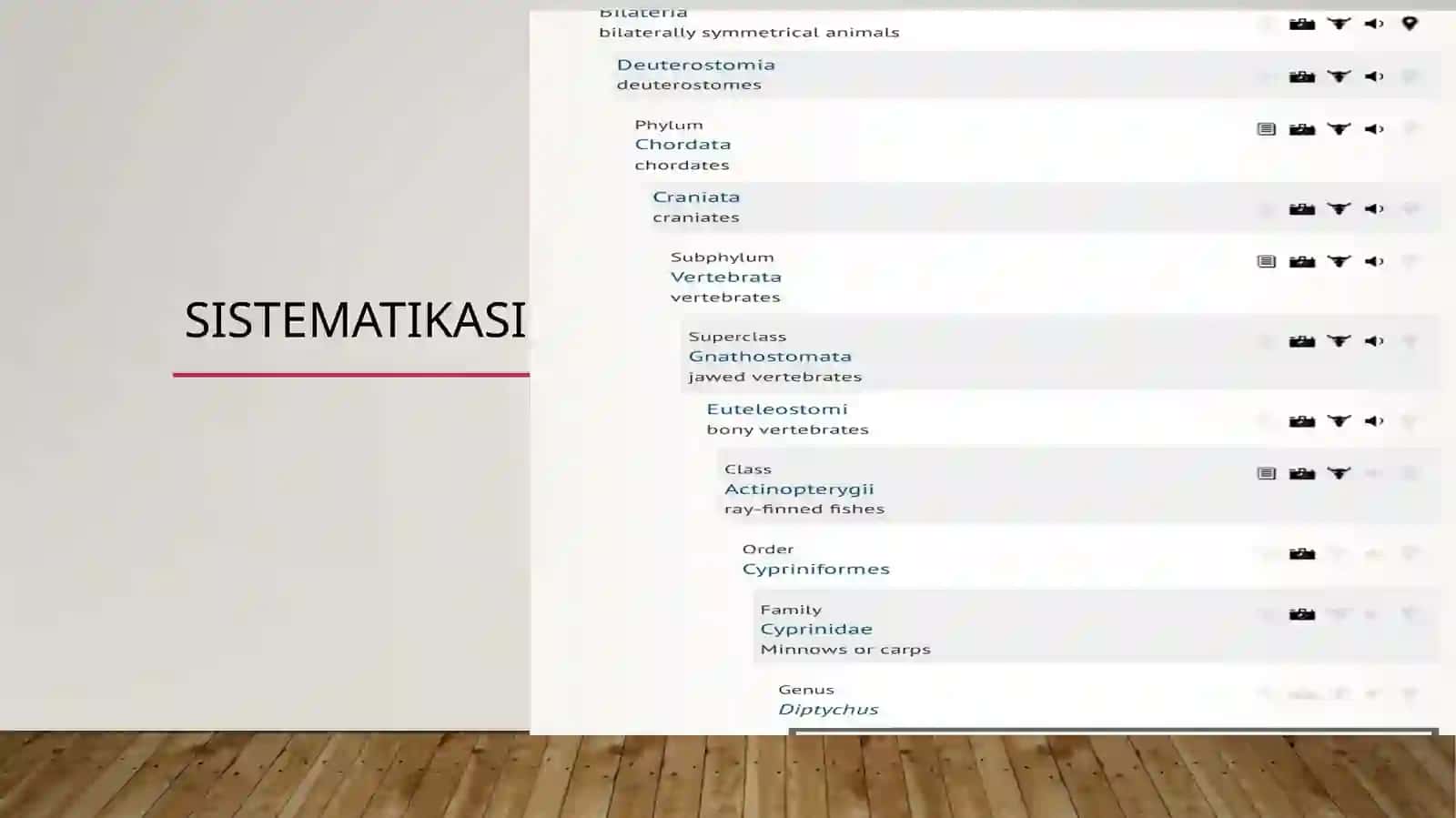 Seversov osman balig’iDiptychys sewerzowi 2