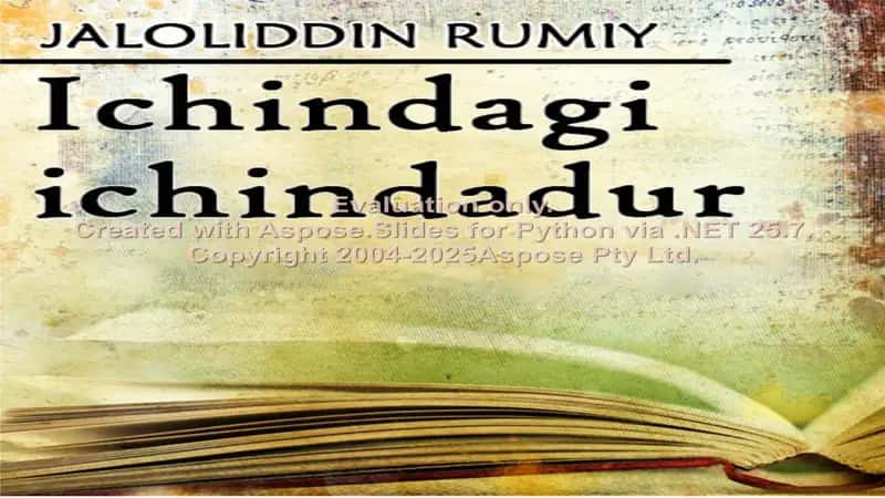 Jaloliddin Rumiy 2