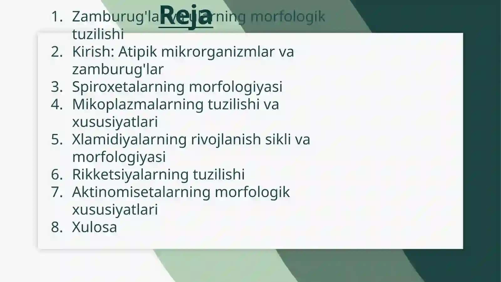 :. Spiroxetalar, mikoplazmalar, xlamidiyalar, rikketsiyalar, aktinomisyetlalar, zamburug‘lar va ularning morfologik strukturasi 2
