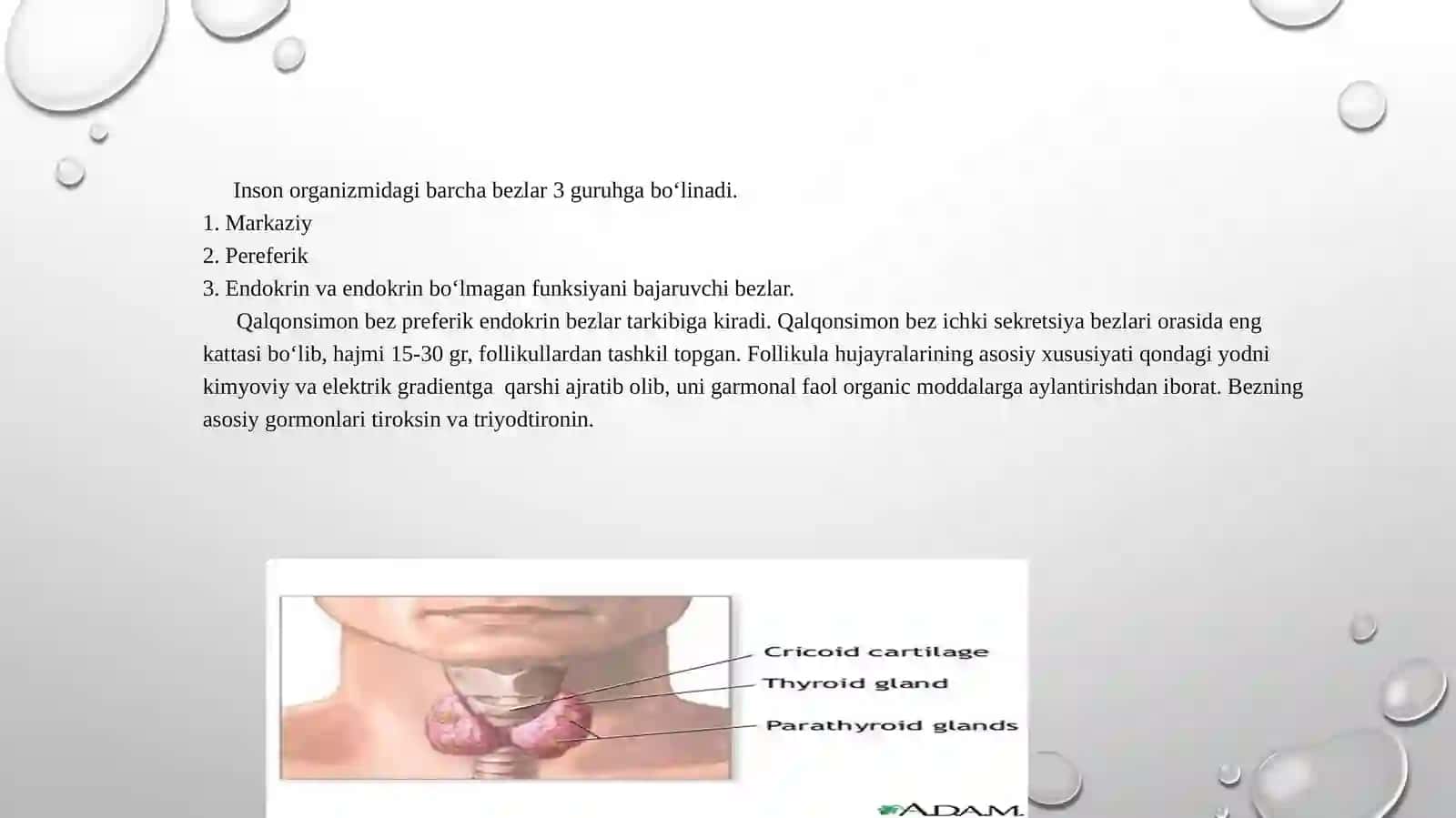 Bugungi yoshlar she'riyatida ijodiy an'ana tamoyillari 2