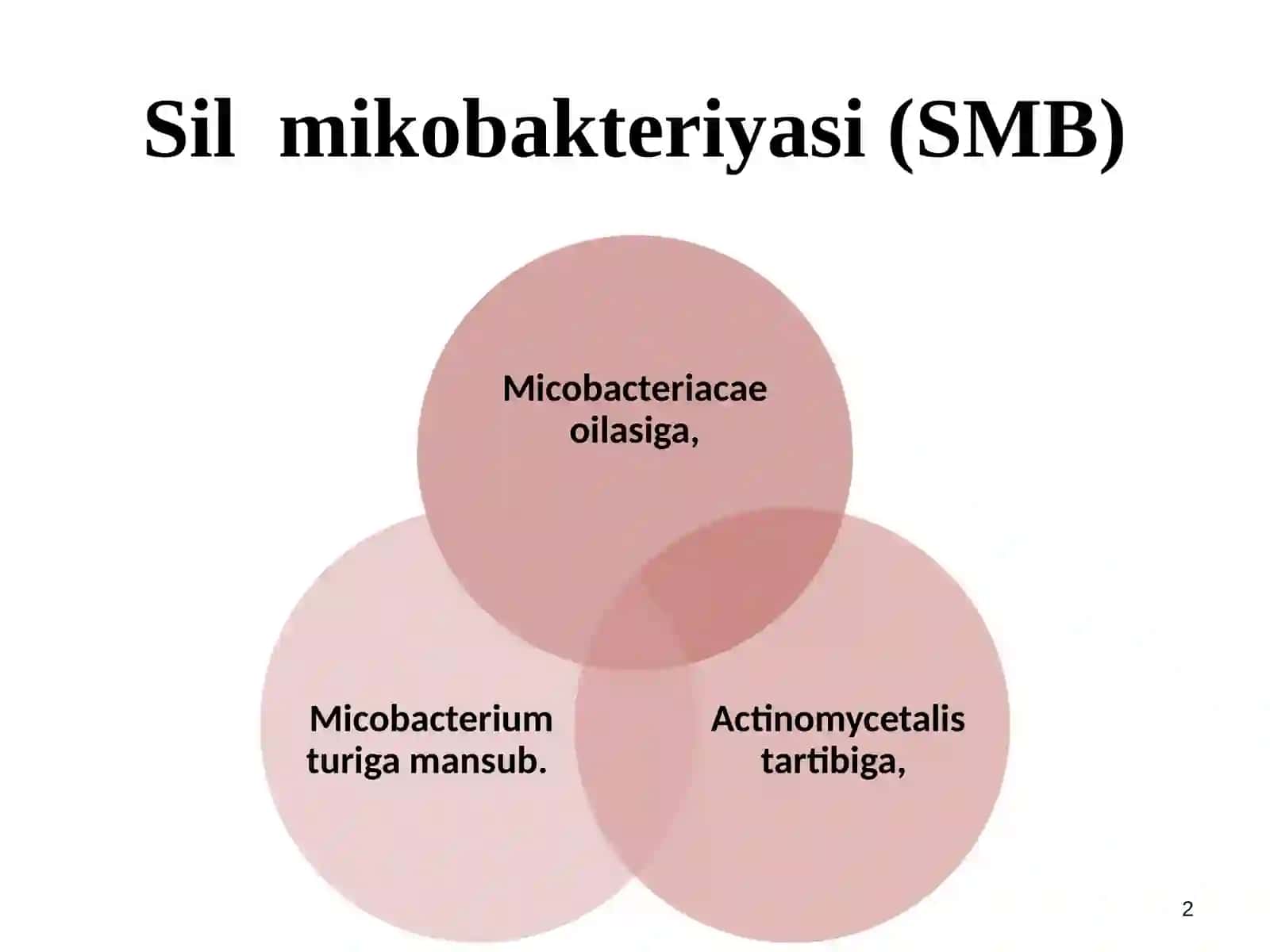 Silmikobakteriyasi (SMB) 2