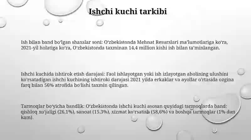 Oʻzbekistonda Mehnat Resurslari 2