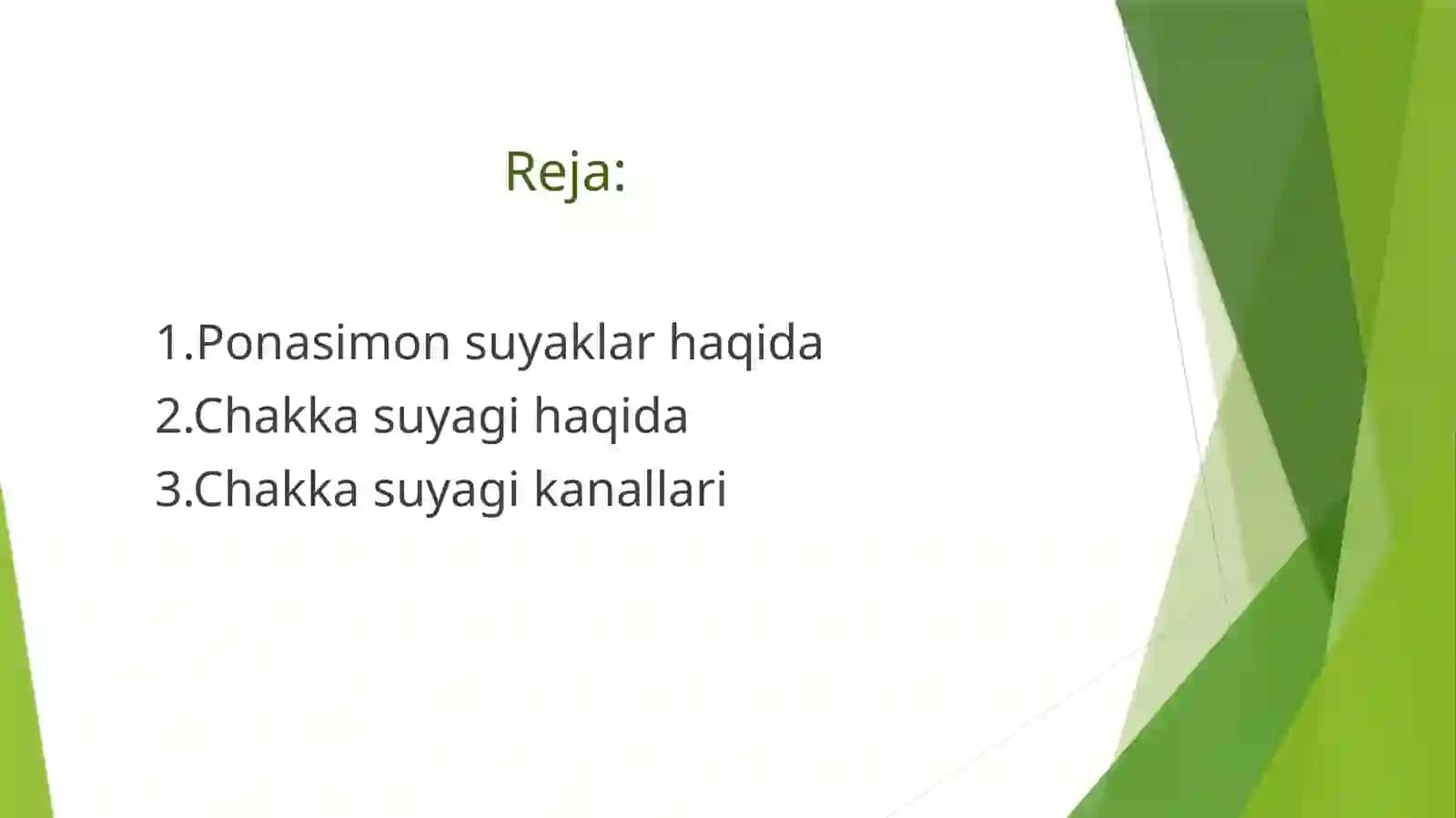 Ponasimon va chakka suyagi 2