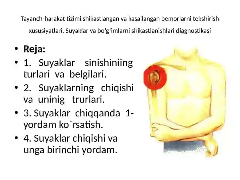 Tayanch-harakat 2