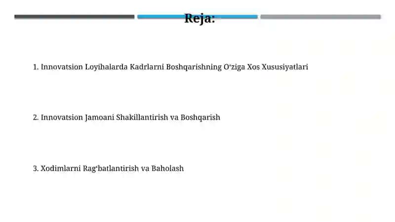Innovatsion Loyihalarda Kadrlarni Boshqarishning O'ziga Xos Xususiyatlari 2