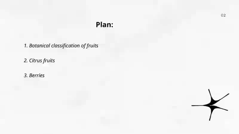 Botanical classification of fruits 2