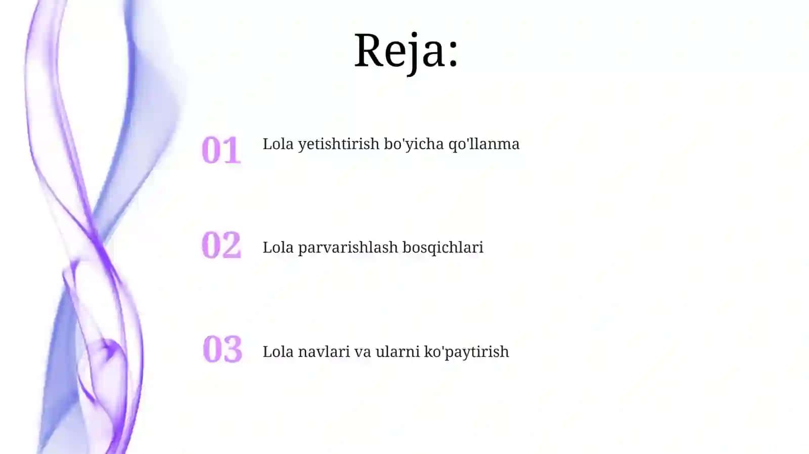 Lola piyozlarini ekish 2
