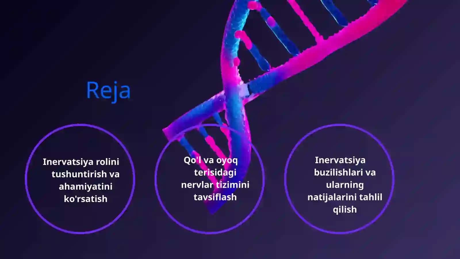 Qoʻl va oyoq terisi inervatsiyasi 2