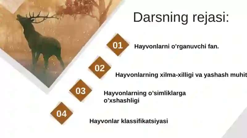 Hayvonlarning tuzilishi va funksiyasi 2