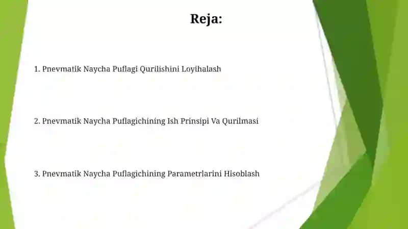 Pnevmatik Naycha Puﬂagich 2