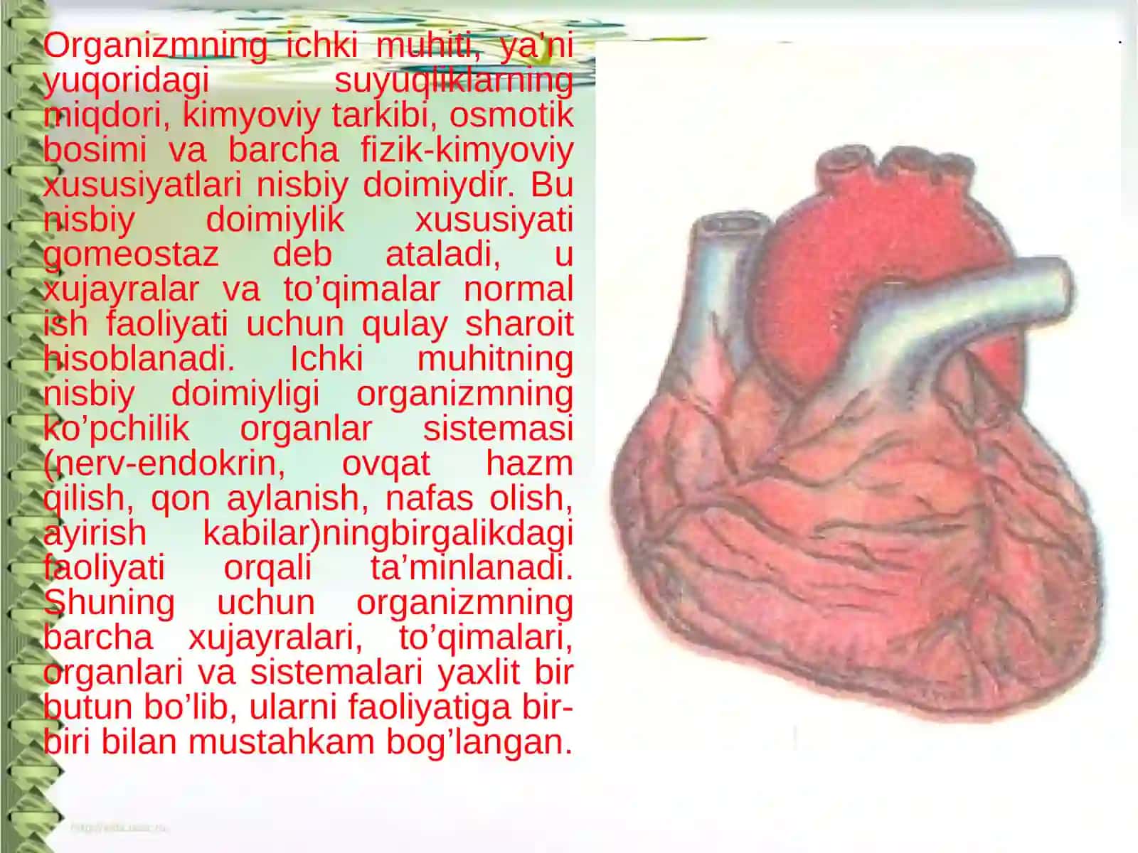 Ichki muhitning nisbiy doimiylik xususiyatlari 2