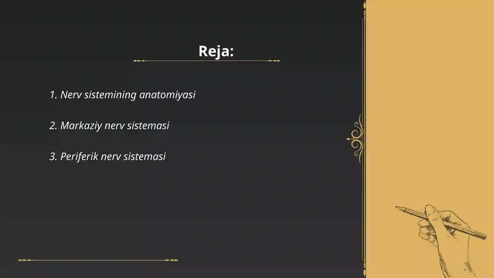 Nerv sistemasi 2