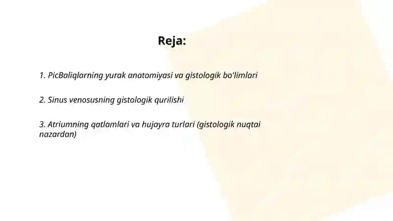 PicBaliqlarning yurak anatomiyasi va gistologik bo'limlari 2