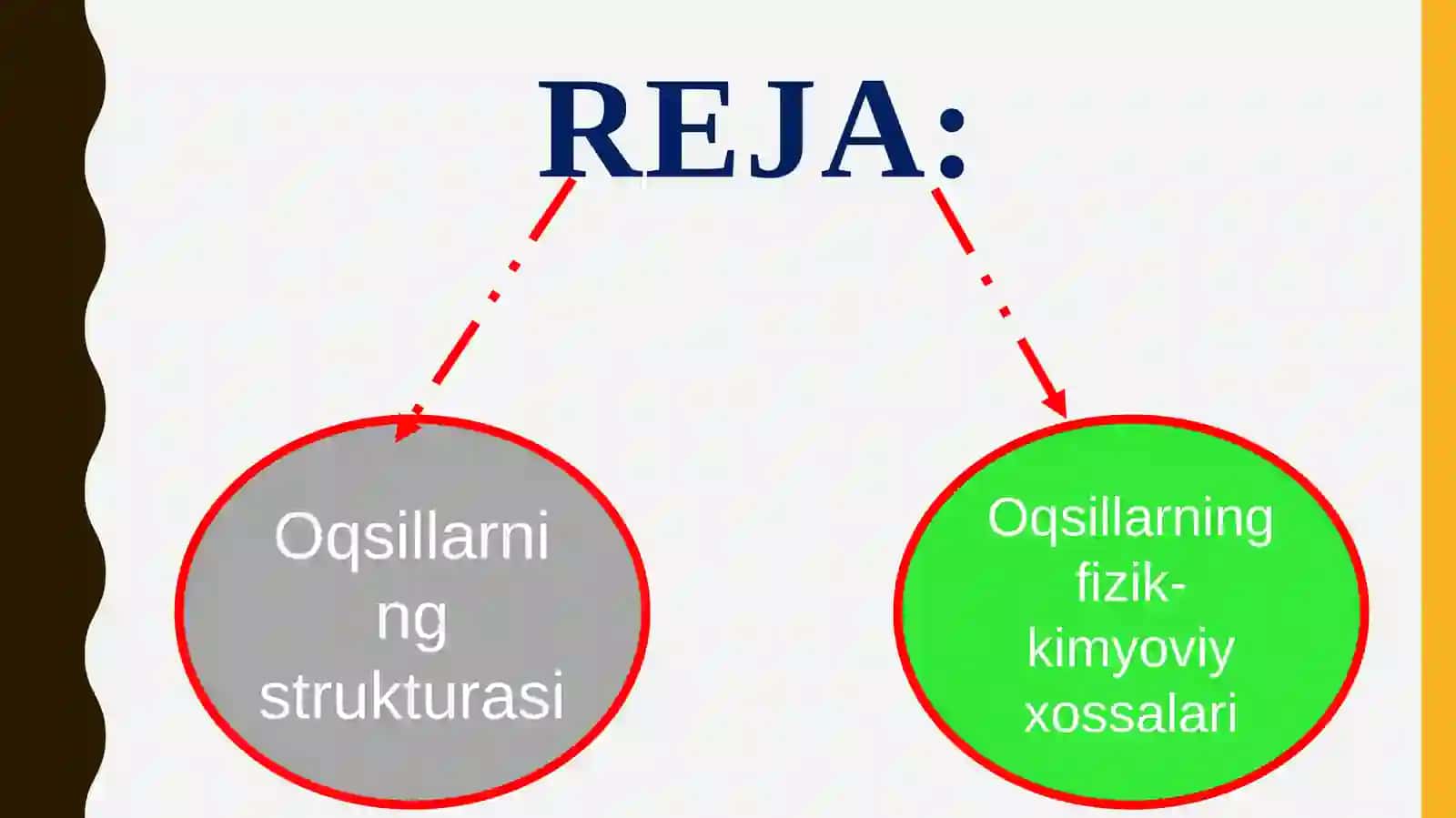 Oqsillarning strukturasi va fizik-kimyoviy xossalari 2