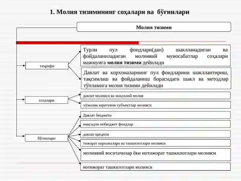 Молия тизими 2