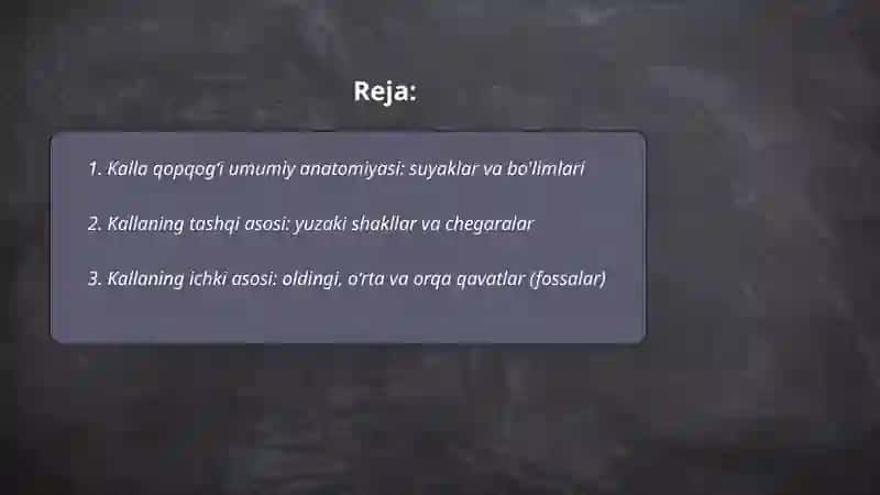 Kalla qopqogʻi, kallaning ichki va tashqi asosi 2
