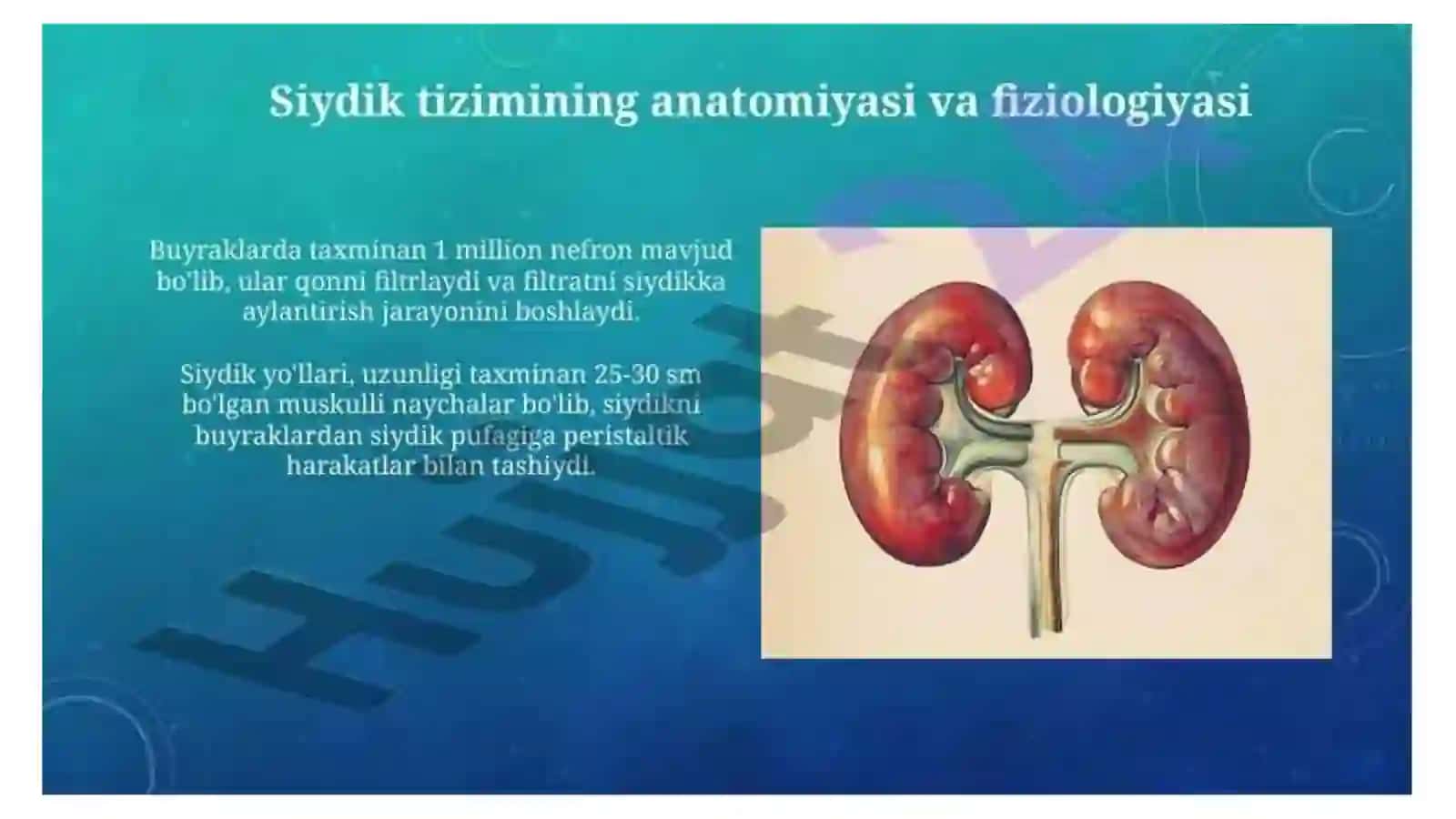 Ko'p tarmoqli tibbiyot texnikumi 2