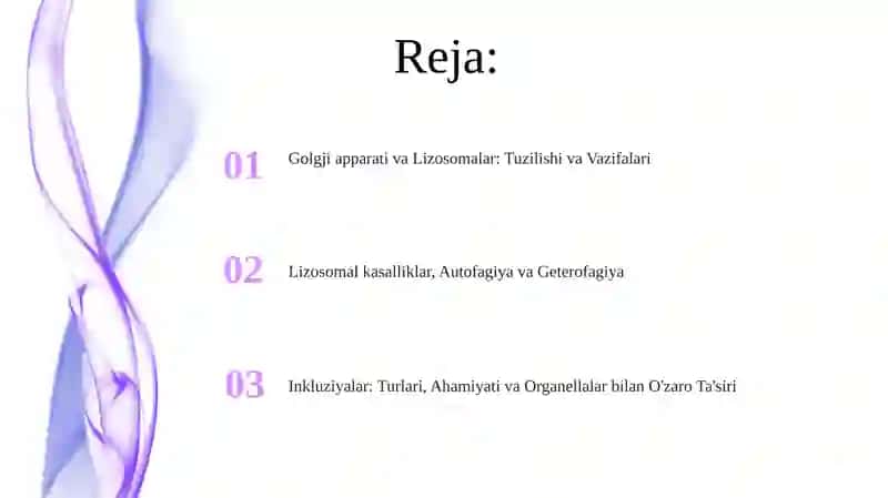 Golgji apparati va Lizosomalar: Tuzilishi va Vazifalari 2