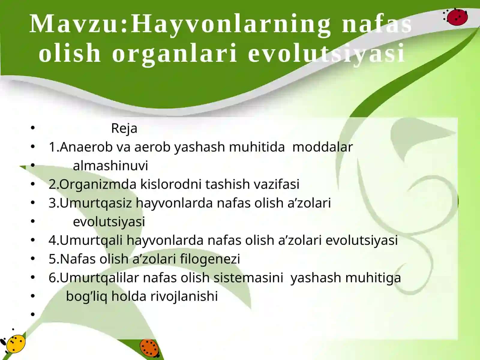 Hayvonlarning nafas olish organlari evolutsiyasi 2