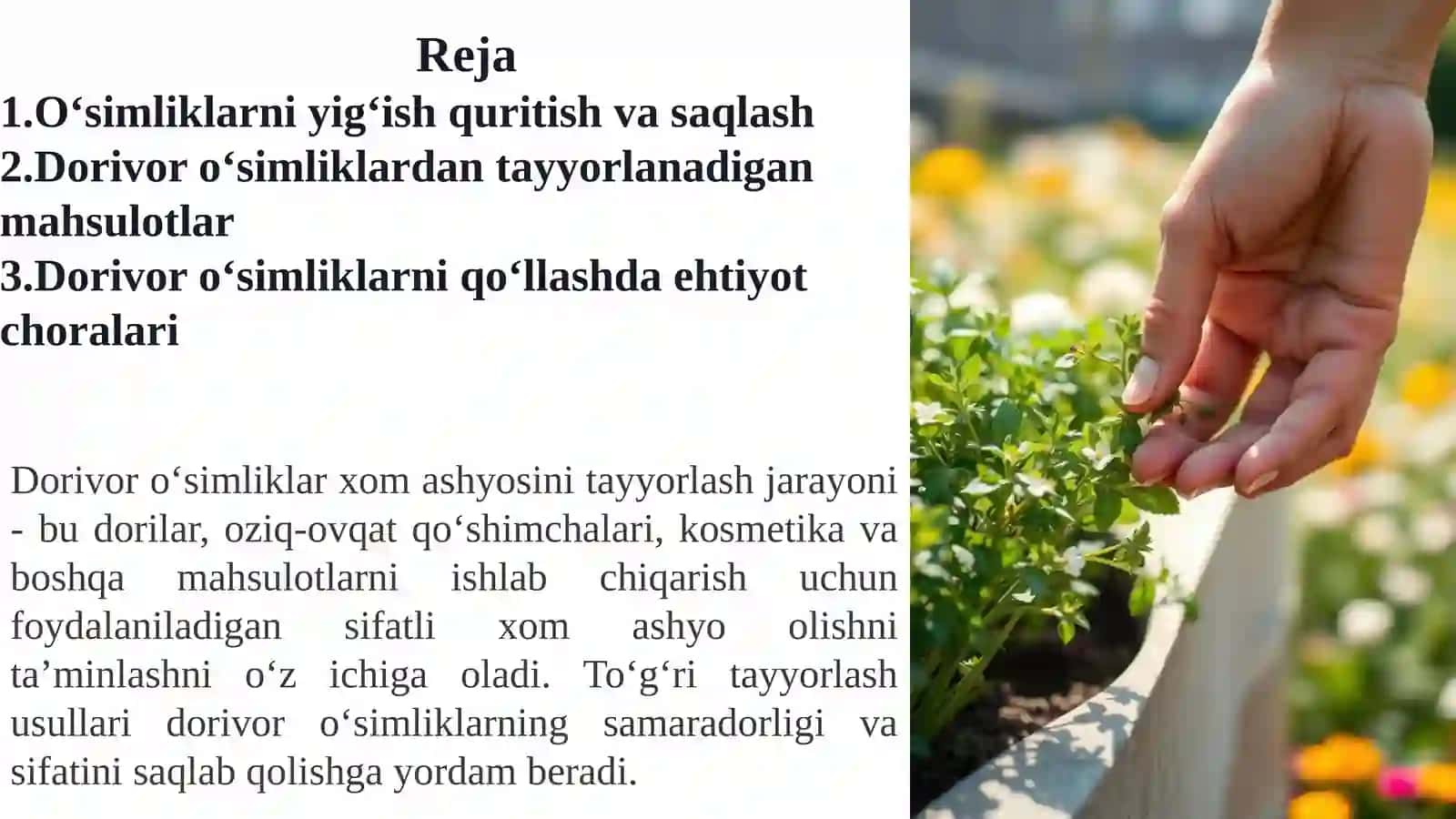 Dorivoro‘simliklar xomashyosini tayyorlash asoslari 2